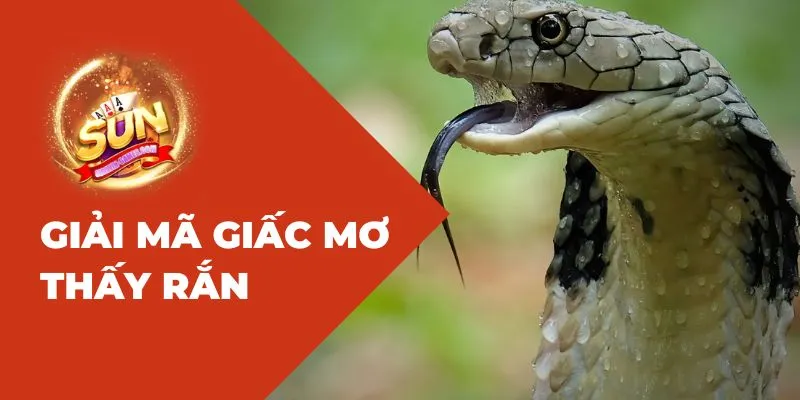 Giải mã giấc mơ thấy rắn