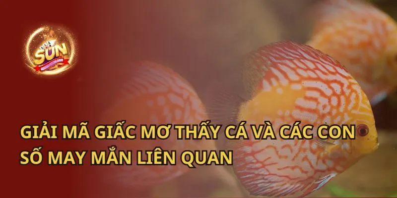 Giải Mã Giấc Mơ Thấy Cá Và Các Con Số May Mắn Liên Quan