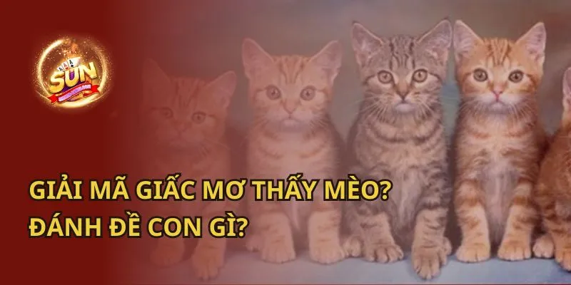 Giải Mã Giấc Mơ Thấy Mèo? Đánh Đề Con Gì?